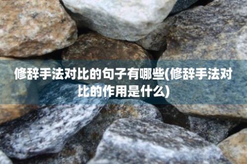 修辞手法对比的句子有哪些(修辞手法对比的作用是什么)