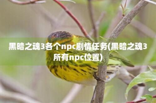 黑暗之魂3各个npc剧情任务(黑暗之魂3所有npc位置)