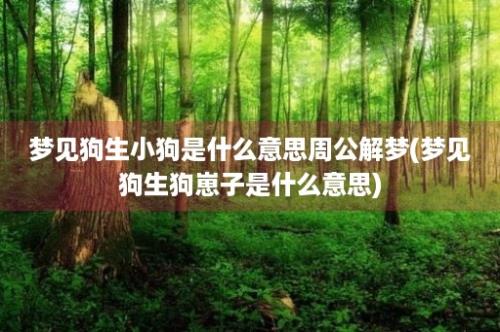 梦见狗生小狗是什么意思周公解梦(梦见狗生狗崽子是什么意思)