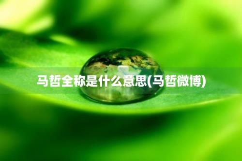 马哲全称是什么意思(马哲微博)