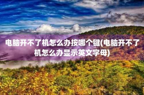 电脑开不了机怎么办按哪个键(电脑开不了机怎么办显示英文字母)