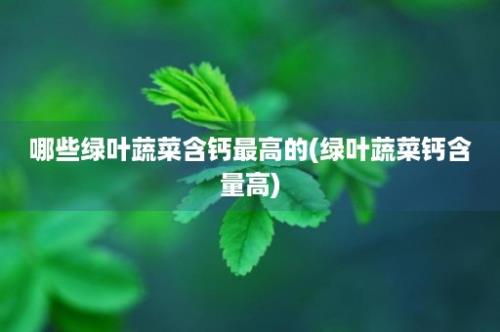 哪些绿叶蔬菜含钙最高的(绿叶蔬菜钙含量高)