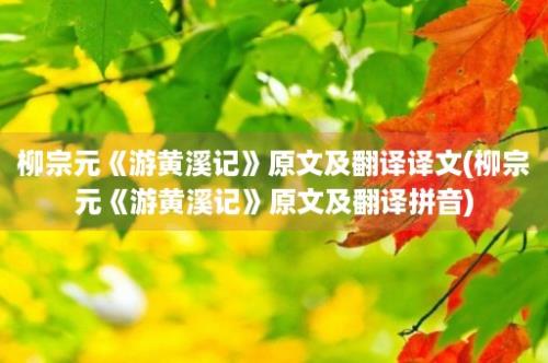 柳宗元《游黄溪记》原文及翻译译文(柳宗元《游黄溪记》原文及翻译拼音)