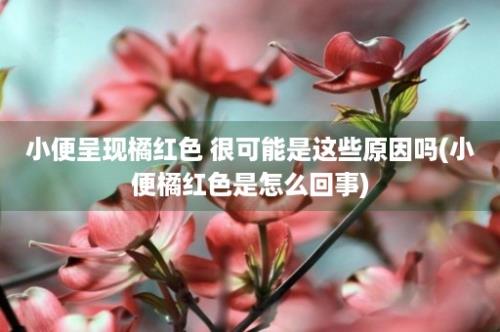 小便呈现橘红色 很可能是这些原因吗(小便橘红色是怎么回事)