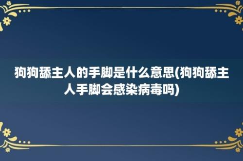 狗狗舔主人的手脚是什么意思(狗狗舔主人手脚会感染病毒吗)