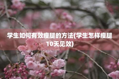 学生如何有效瘦腿的方法(学生怎样瘦腿10天见效)