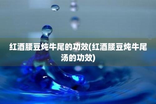 红酒腰豆炖牛尾的功效(红酒腰豆炖牛尾汤的功效)