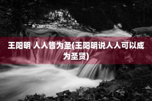 王阳明 人人皆为圣(王阳明说人人可以成为圣贤)