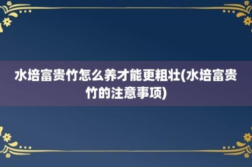 水培富贵竹怎么养才能更粗壮(水培富贵竹的注意事项)