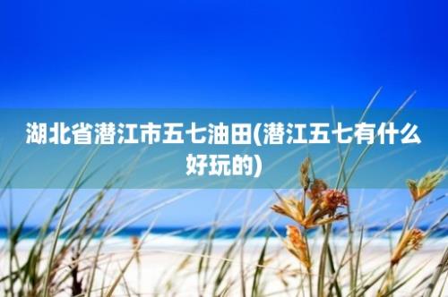 湖北省潜江市五七油田(潜江五七有什么好玩的)