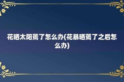 花晒太阳蔫了怎么办(花暴晒蔫了之后怎么办)