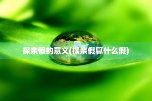 探亲假的意义(探亲假算什么假)