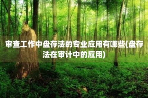 审查工作中盘存法的专业应用有哪些(盘存法在审计中的应用)