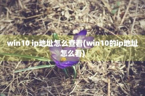 win10 ip地址怎么查看(win10的ip地址怎么看)