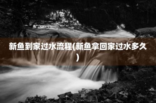 新鱼到家过水流程(新鱼拿回家过水多久)