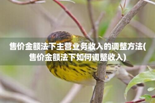 售价金额法下主营业务收入的调整方法(售价金额法下如何调整收入)