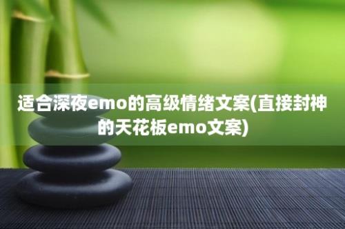 适合深夜emo的高级情绪文案(直接封神的天花板emo文案)