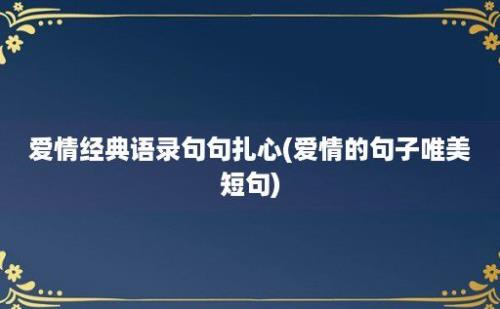 爱情经典语录句句扎心(爱情的句子唯美短句)