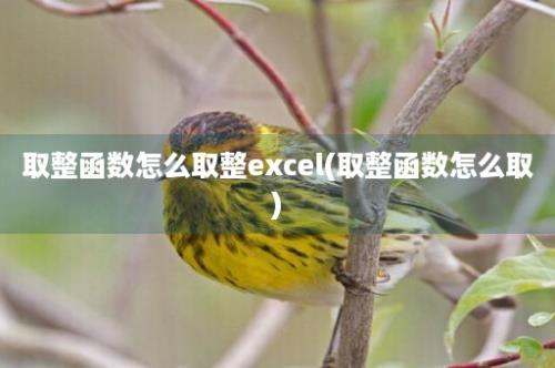 取整函数怎么取整excel(取整函数怎么取)