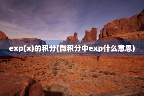 exp(x)的积分(微积分中exp什么意思)