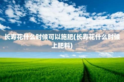 长寿花什么时候可以施肥(长寿花什么时候上肥料)