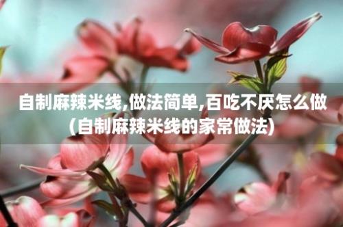 自制麻辣米线,做法简单,百吃不厌怎么做(自制麻辣米线的家常做法)