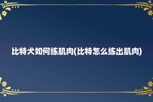 比特犬如何练肌肉(比特怎么练出肌肉)