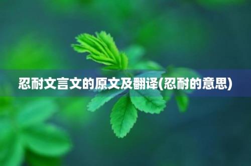 忍耐文言文的原文及翻译(忍耐的意思)