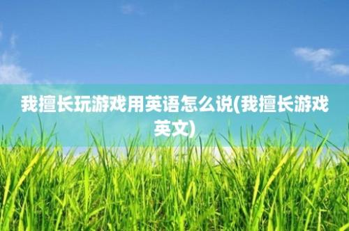 我擅长玩游戏用英语怎么说(我擅长游戏英文)