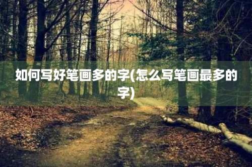 如何写好笔画多的字(怎么写笔画最多的字)