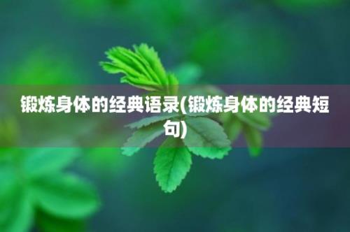 锻炼身体的经典语录(锻炼身体的经典短句)