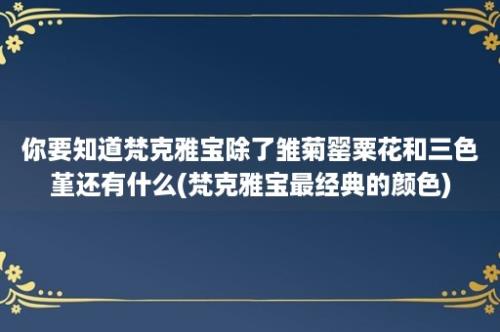 你要知道梵克雅宝除了雏菊罂粟花和三色堇还有什么(梵克雅宝最经典的颜色)