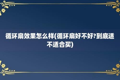 循环扇效果怎么样(循环扇好不好?到底适不适合买)