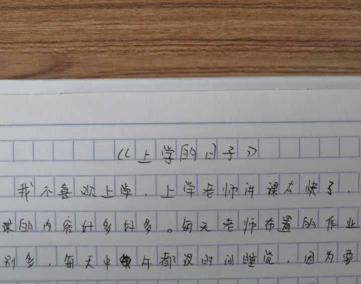 一年级日记怎么写