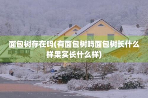 面包树存在吗(有面包树吗面包树长什么样果实长什么样)