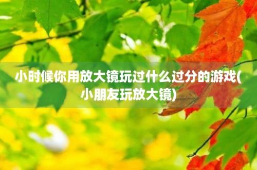 小时候你用放大镜玩过什么过分的游戏(小朋友玩放大镜)