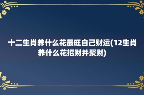 十二生肖养什么花最旺自己财运(12生肖养什么花招财并聚财)