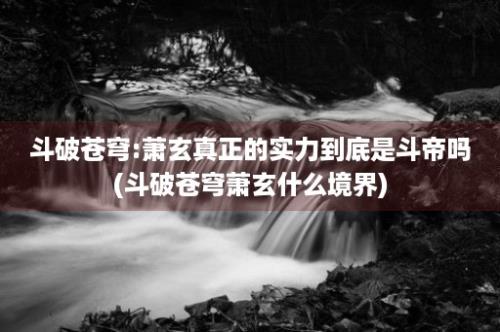 斗破苍穹:萧玄真正的实力到底是斗帝吗(斗破苍穹萧玄什么境界)