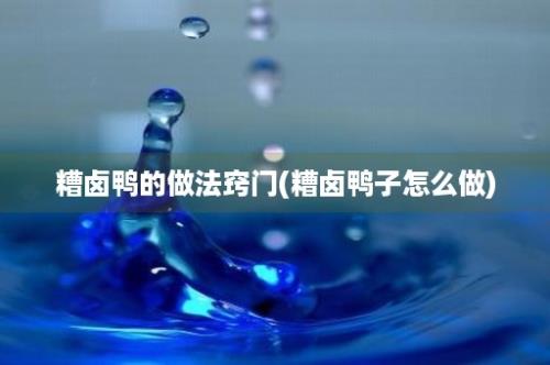 糟卤鸭的做法窍门(糟卤鸭子怎么做)