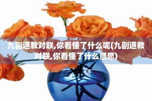 九副道教对联,你看懂了什么呢(九副道教对联,你看懂了什么意思)