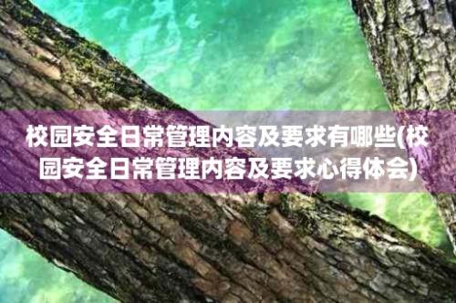 校园安全日常管理内容及要求有哪些(校园安全日常管理内容及要求心得体会)