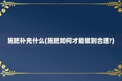 施肥补充什么(施肥如何才能做到合理?)