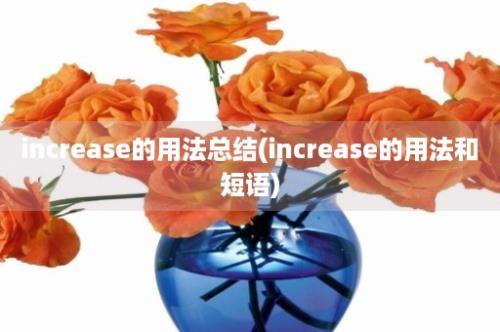 increase的用法总结(increase的用法和短语)