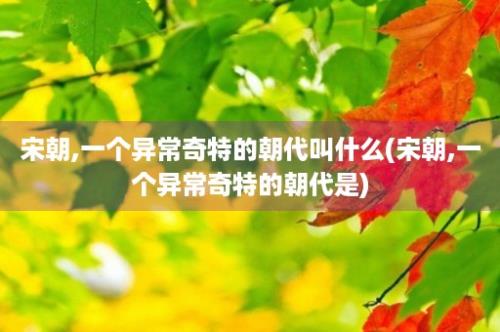 宋朝,一个异常奇特的朝代叫什么(宋朝,一个异常奇特的朝代是)