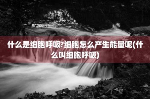 什么是细胞呼吸?细胞怎么产生能量呢(什么叫细胞呼吸)