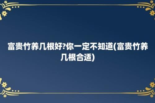 富贵竹养几根好?你一定不知道(富贵竹养几根合适)