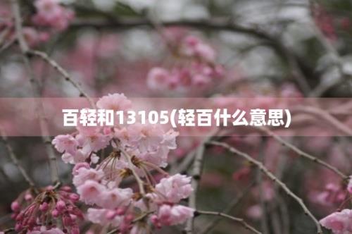 百轻和13105(轻百什么意思)