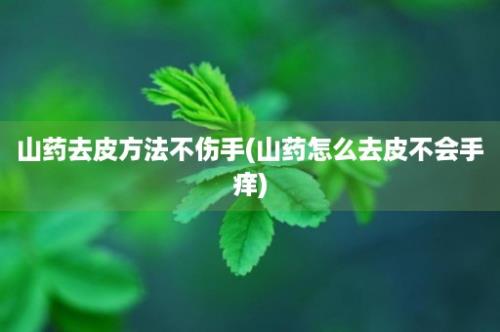 山药去皮方法不伤手(山药怎么去皮不会手痒)