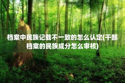 档案中民族记载不一致的怎么认定(干部档案的民族成分怎么审核)