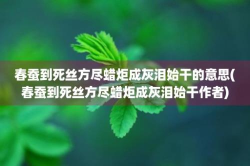 春蚕到死丝方尽蜡炬成灰泪始干的意思(春蚕到死丝方尽蜡炬成灰泪始干作者)